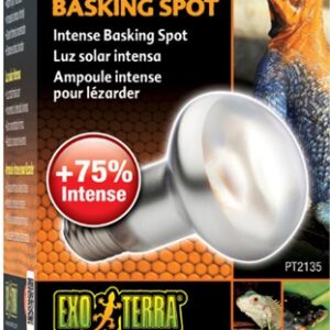 Exo Terra Intense lämpölamppu 50 W