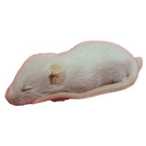 Pakastehiiri 8-15g